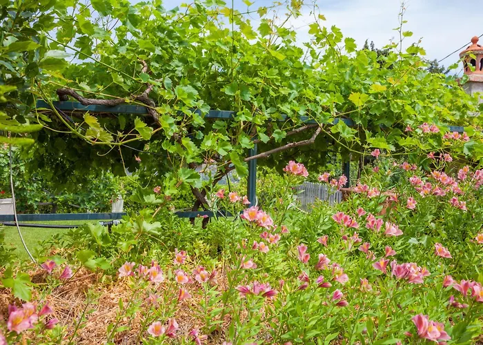 Country Il Passatempo * Diano Castello